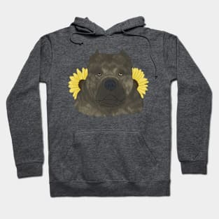 Brindle American Bully with Sunflowers Hoodie